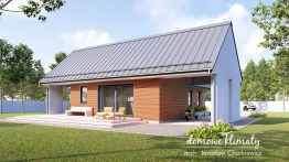 Projekt domu Płotka 3 (2)